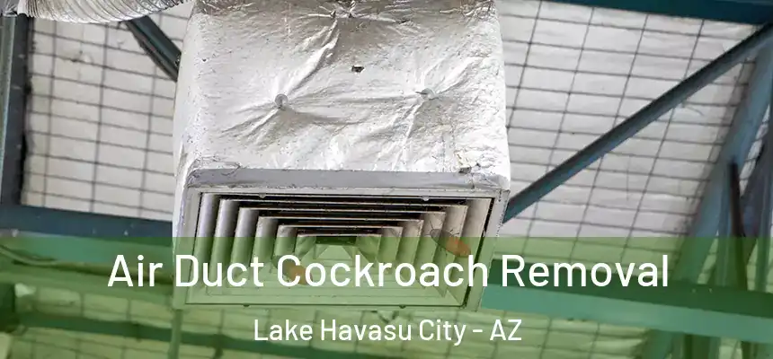  Air Duct Cockroach Removal Lake Havasu City - AZ