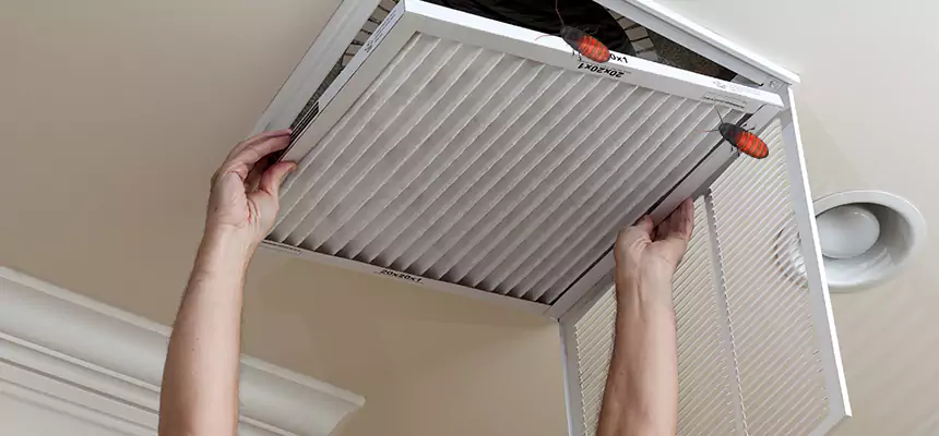 Preventive Cockroach-Proofing for Ducts in Lake Havasu City