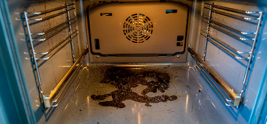 Our Dryer Vent Mold Cleaning Services in Lake Havasu City, AZ