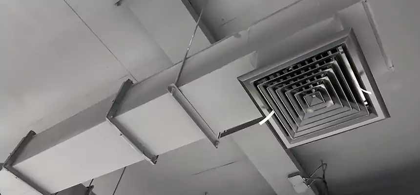 Our Rodent Droppings In Vents Services in Lake Havasu City, AZ