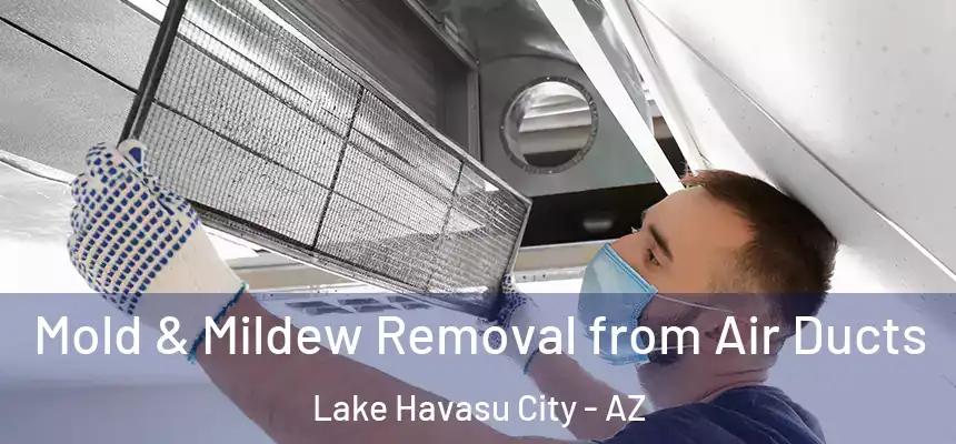  Mold & Mildew Removal from Air Ducts Lake Havasu City - AZ
