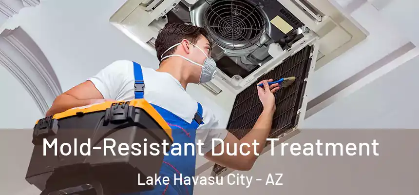  Mold-Resistant Duct Treatment Lake Havasu City - AZ