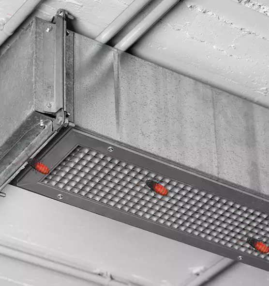 About Air Duct Cockroach Removal in Lake Havasu City, AZ