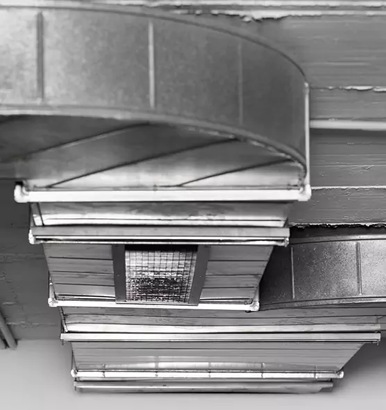 Professional Air Duct Pet Hair Removal in Lake Havasu City, AZ