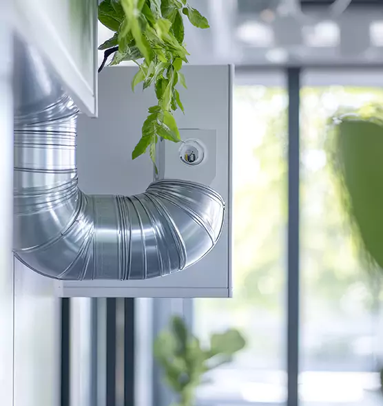 Professional Eco-Safe Dryer Vent Cleaning in Lake Havasu City, AZ