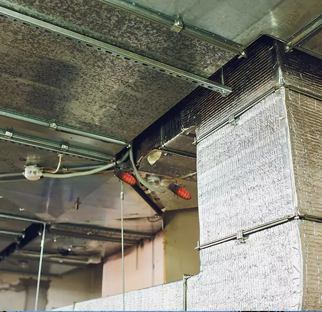 Why Homeowners & Businesses Trust Us in Lake Havasu City, AZ?