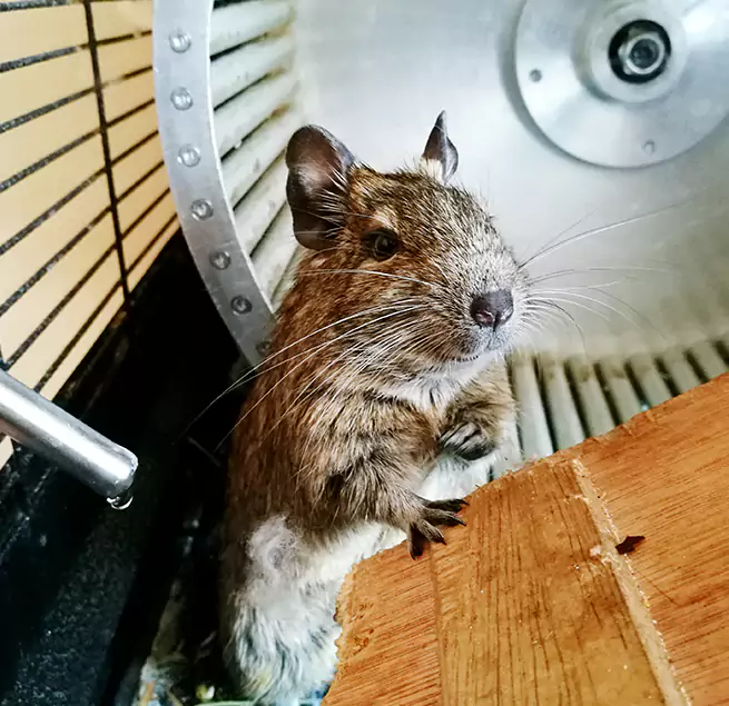 Why Homeowners & Businesses Trust Us Lake Havasu City, AZ