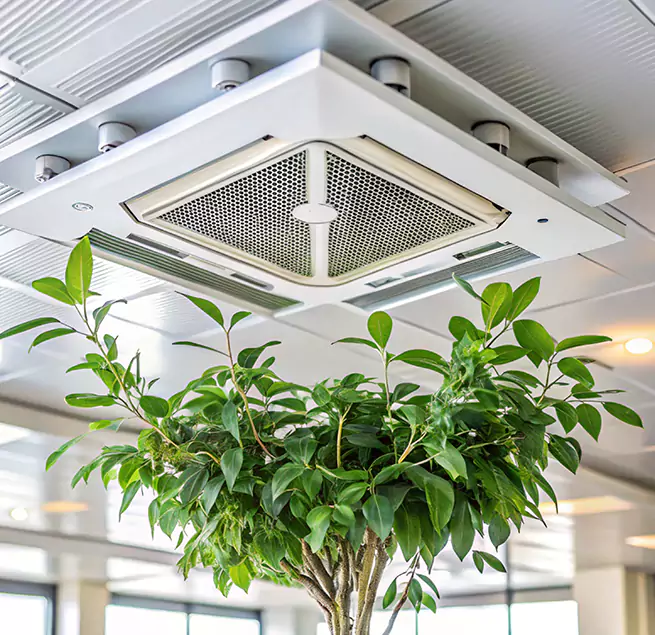 Why Homeowners & Businesses Trust Us in Lake Havasu City, AZ?