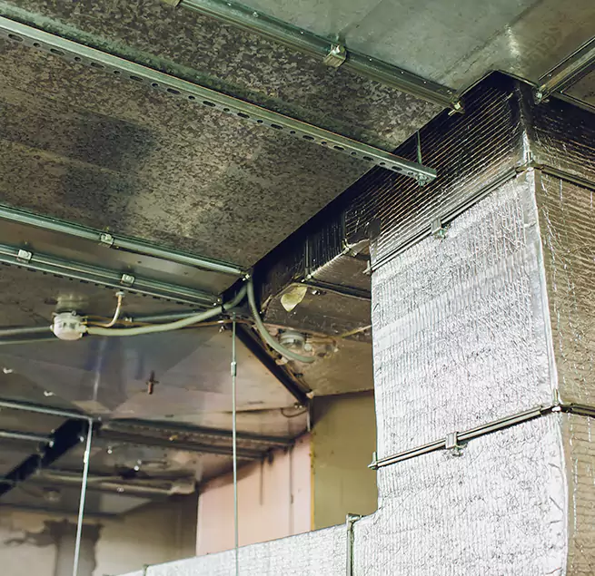 Why Homeowners & Businesses Trust Us in Lake Havasu City, AZ?